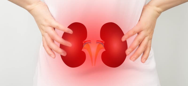Nephrologist