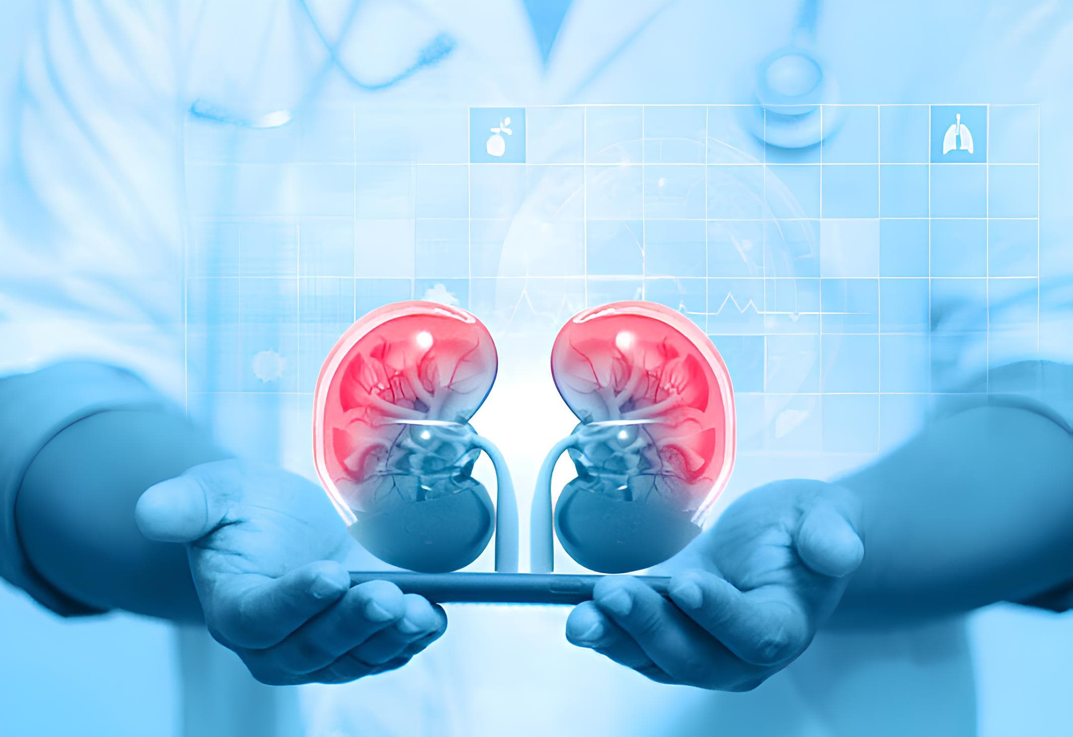Nephrologist Consultation